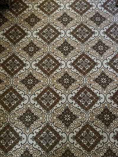 Full size TV Lounge carpet