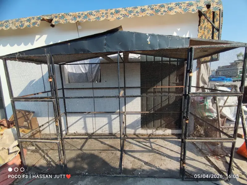 Big Cage For Hens And Pigeons — photo 3
