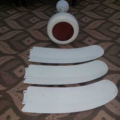 Pak Fan - Home Used Fan - In Good Condition