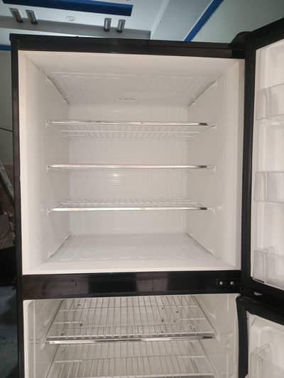 PEL Glass door fridge jumbo large size 03095449689
