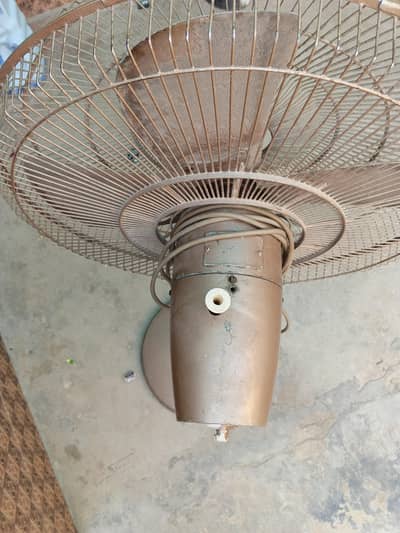 for sale fan