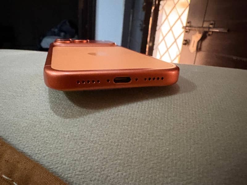 Iphone 17 pro max scratchless condition 4