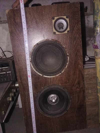 speaker woofer