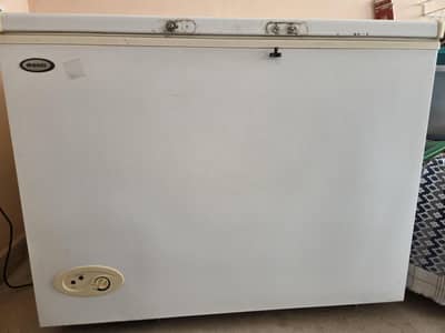 Wave Deep Freezer single door