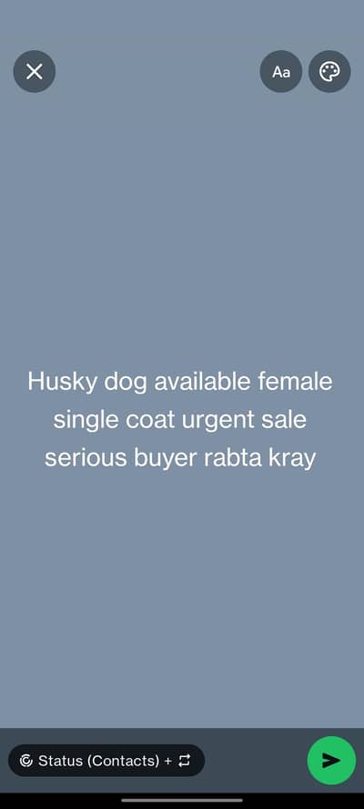 only serious buyer contact 03086605752