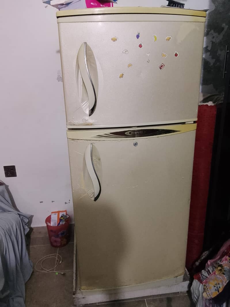 Waves fridge 6