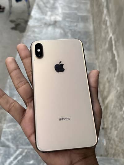 Iphone xs max dual pta