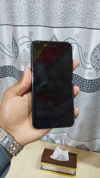 Serious Bayers Contact 03131257869