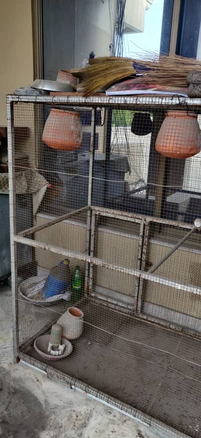 Birds Cage hen Cage