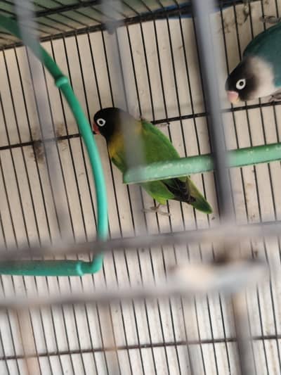 small setup for sale