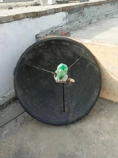 Digital dish receiver and dish Antennas