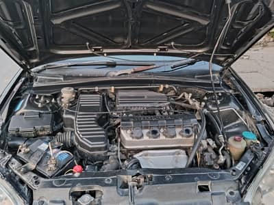 Honda civic for honda lovers