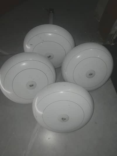 SK FANS 4 Ceiling for Sale