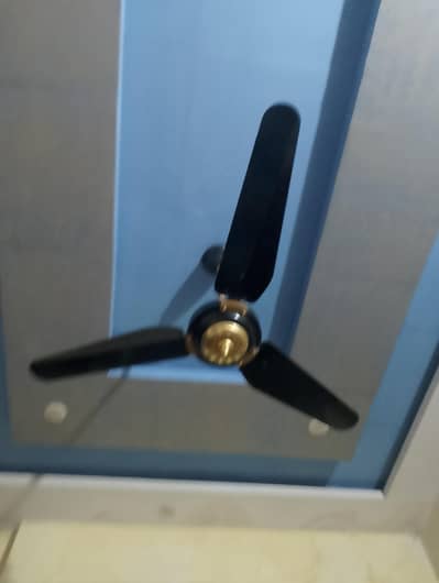fan ceiling