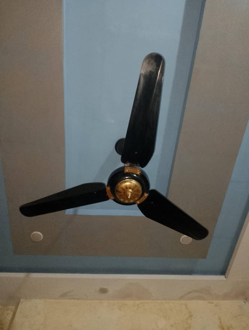 fan ceiling 1