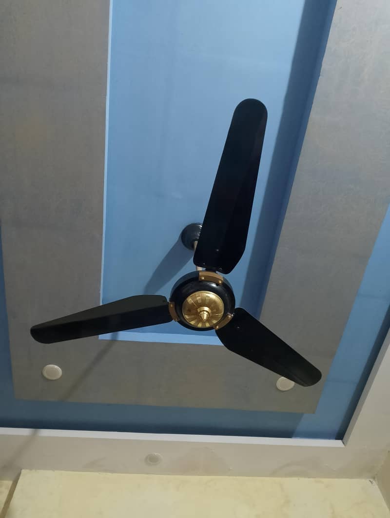 fan ceiling 2
