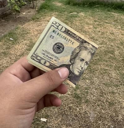 20 dollars America  dollar sale