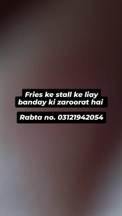 Fries k liye bnda chiye