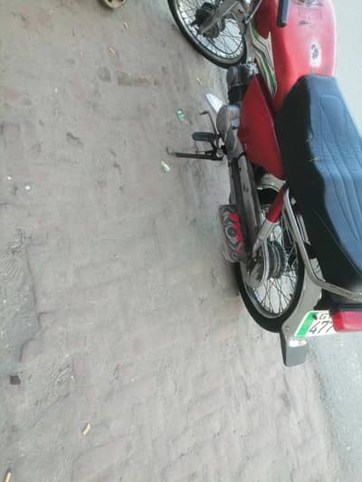 03056528131 03479041517