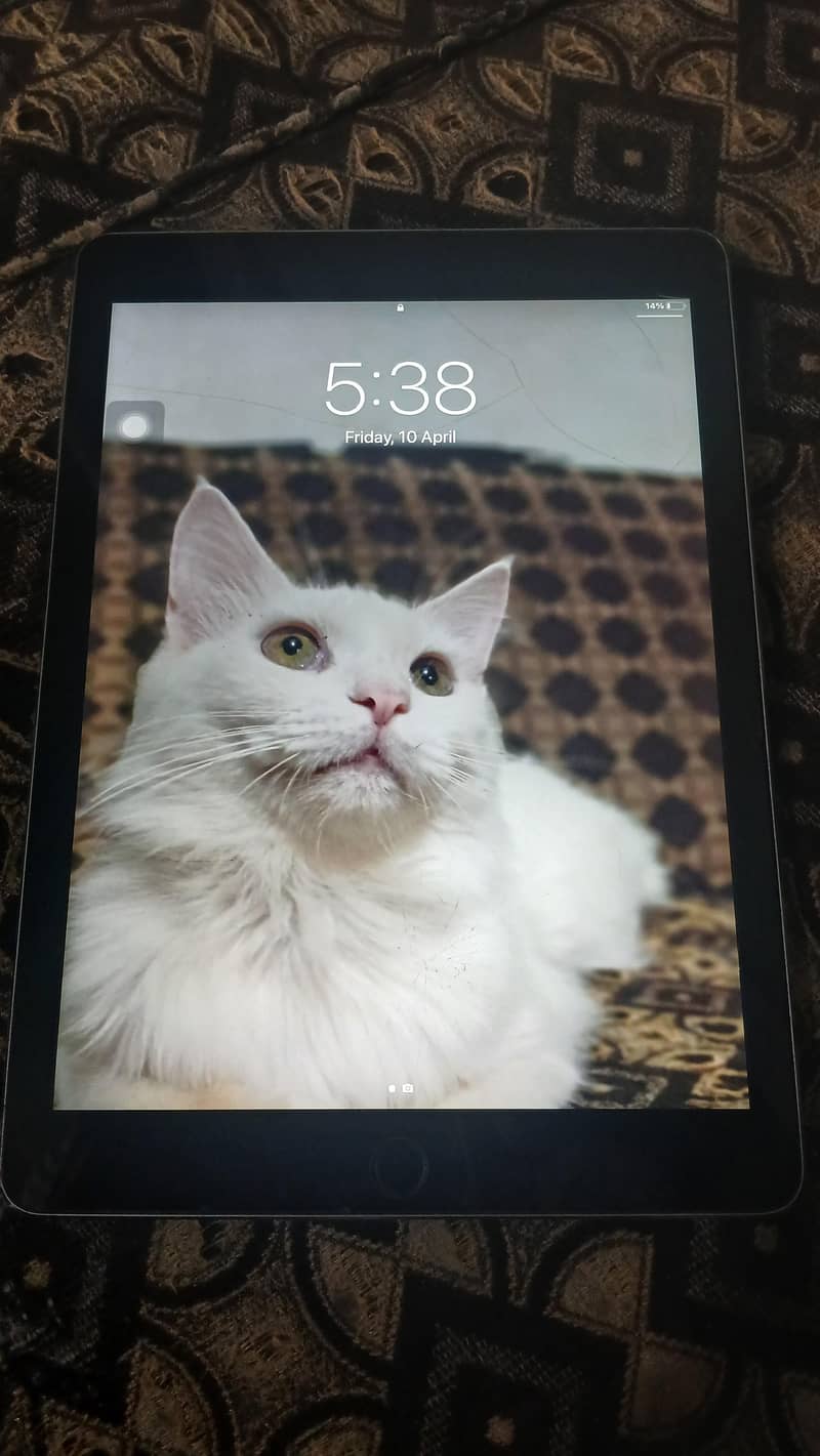 Ipad Air 2 3