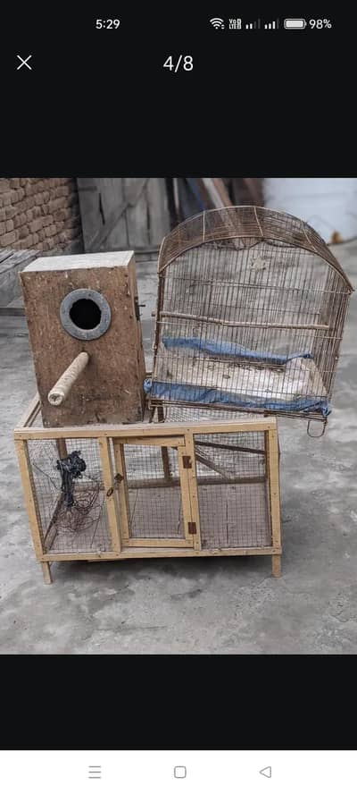 bird's accessories