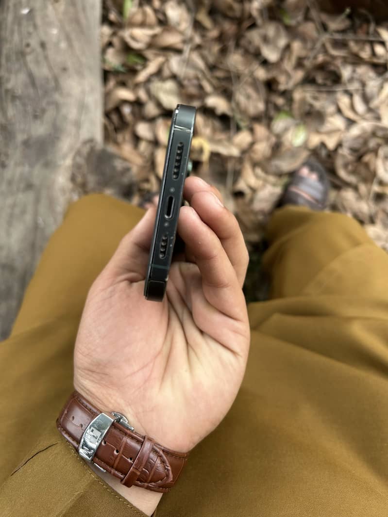 iPhone 13 Pro Max 1