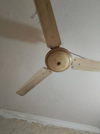 celling + padistal+room cooler pankay sale