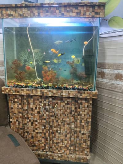 FISH AQUARIUM