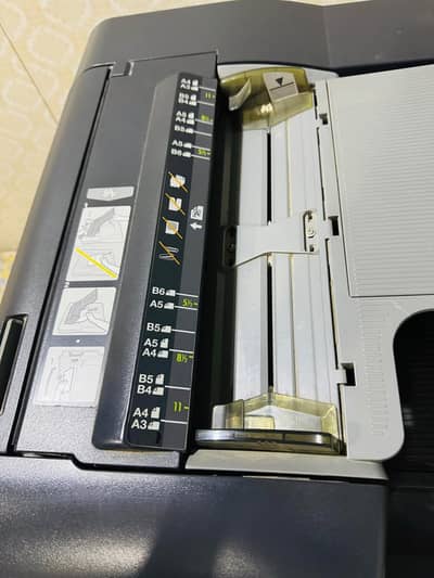 Monica monalta C 280