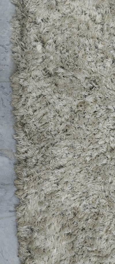 11 by 8 ft irani rug