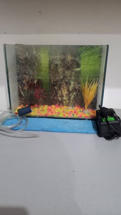 compact aquarium with all setup for sale