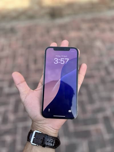 Iphone 12 pro dual pta approve