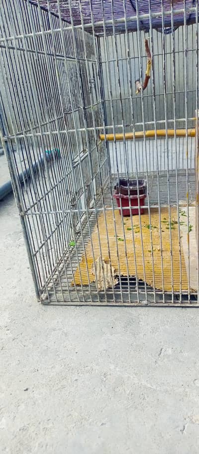 Parrots cage for sale