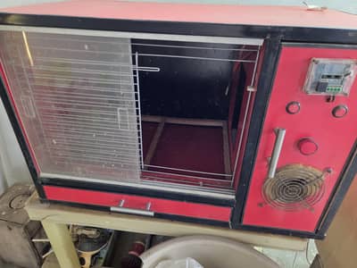 Brooder Good Condition | Beeder Pairs for Sale | 2 Years Age