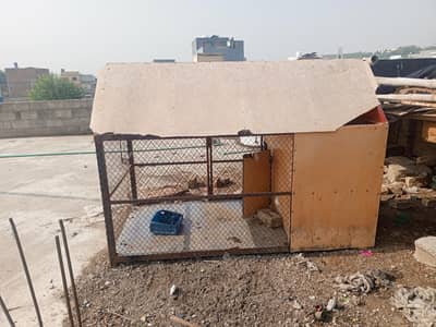 Birds cage good quality