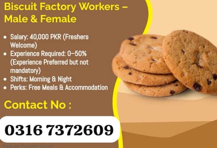 Buiscuit packing job male female urgent hiring