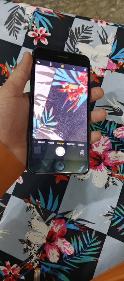 iphone 7 plus pta proved ha 256 g