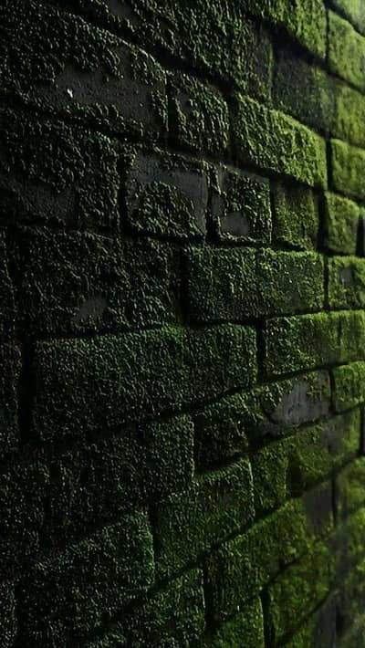 lI NEED JOB. 03257580975