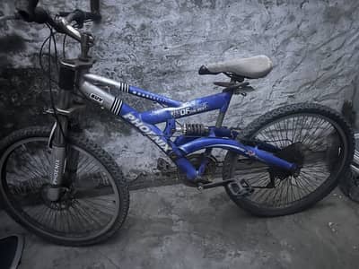 Phonenix Cycle 15000