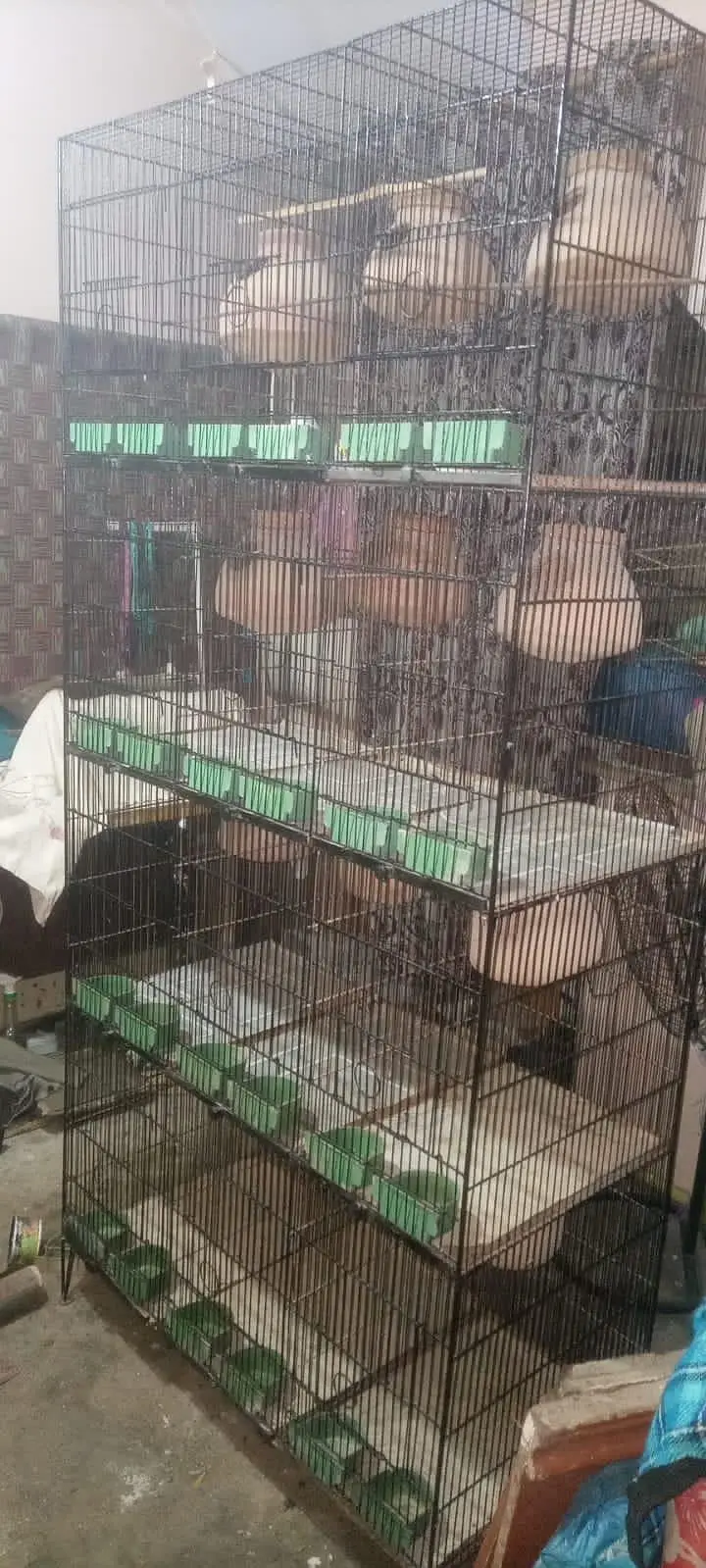 Cage 12 part