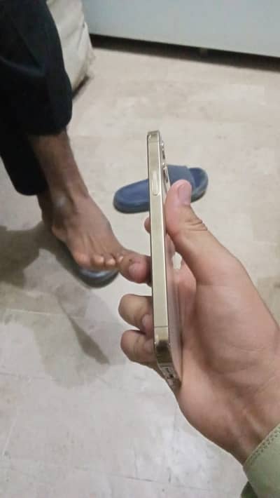 iPhone 12 Pro   256 GB