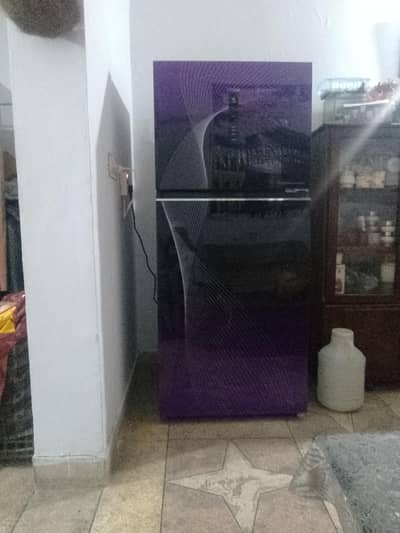 Hair fridge inverter new brand