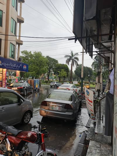 draveg laicans holder   7  yaer  saudi arb  6 yair Pakistan acperas