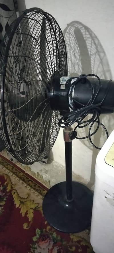 FAN FOR SALE