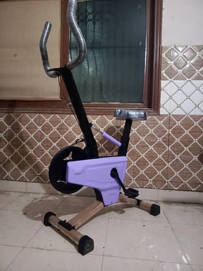 Exercise Cycle / Exercise Bike (2-in-1)