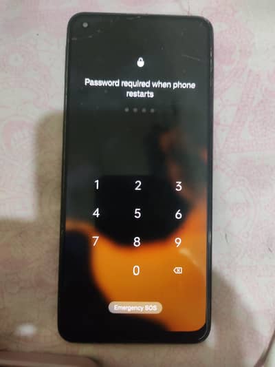 f19 pro original panal