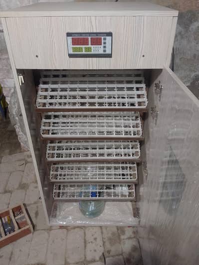 440 eggs  fully  automatic incubator 