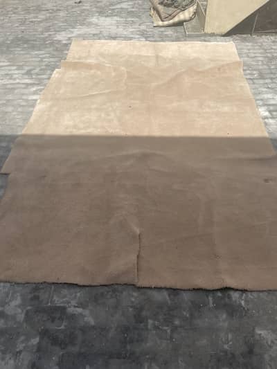 Used thick carpet for sale