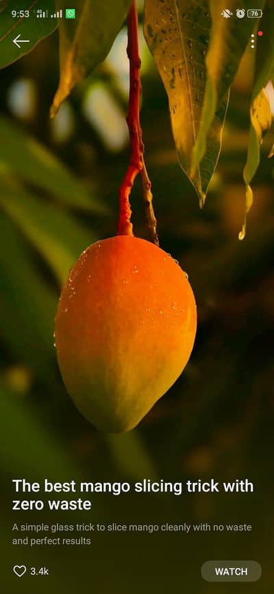 Oppo A1K  2/32  pta proved 9/10 condition