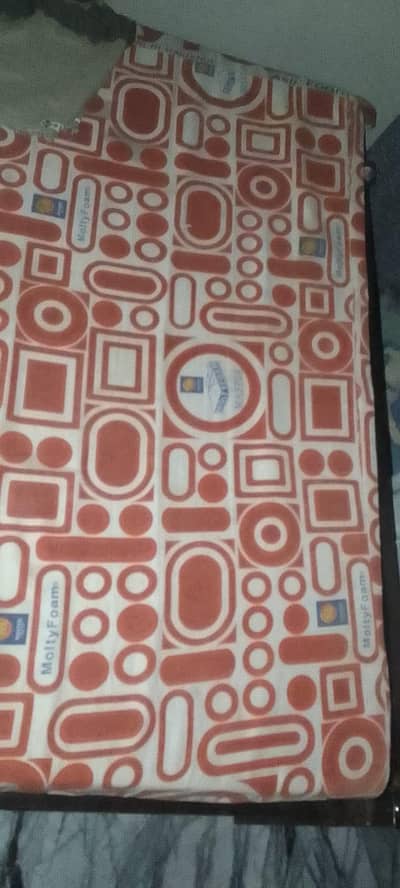 single master molty foam